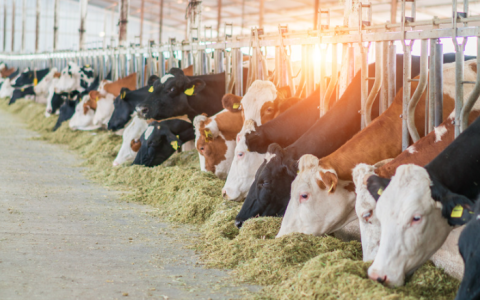 UK Pavilion at AgriLivestock Taiwan (part of Taiwan Smart Agriweek)